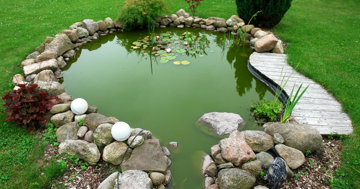 Jak stworzyć własne oczko wodne w ogrodzie przy pomocy wypożyczonych maszyn budowlanych